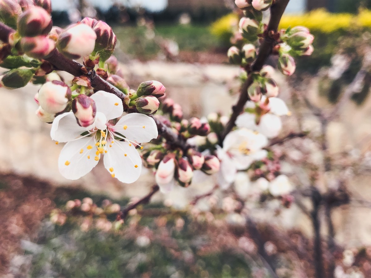 Everything is Temporary