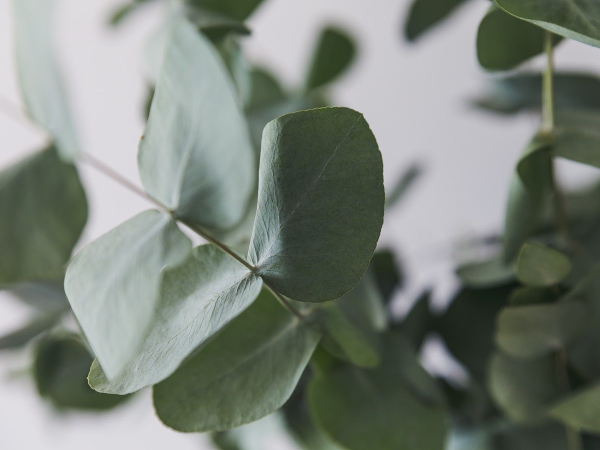 Rest Before You Need To