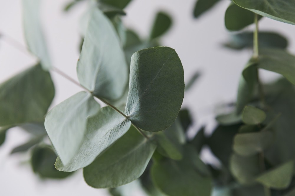 Rest Before You Need To