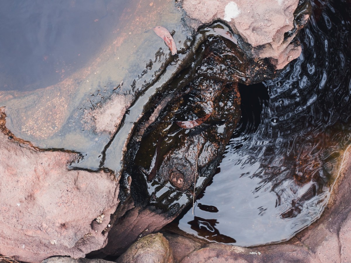 Progress Is Not Linear