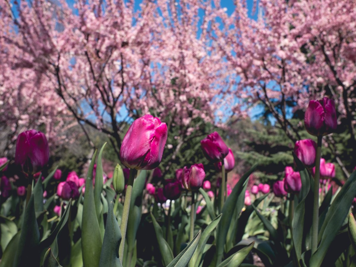 Welcome To… The Unexpected