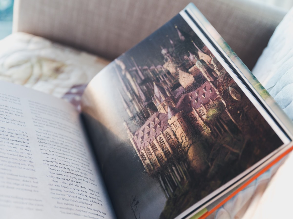 Reading Gives Us Someplace To Go When We Have To Stay Where We Are