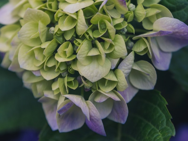 Simple Practical Ways To Help Someone With A Chronic Condition