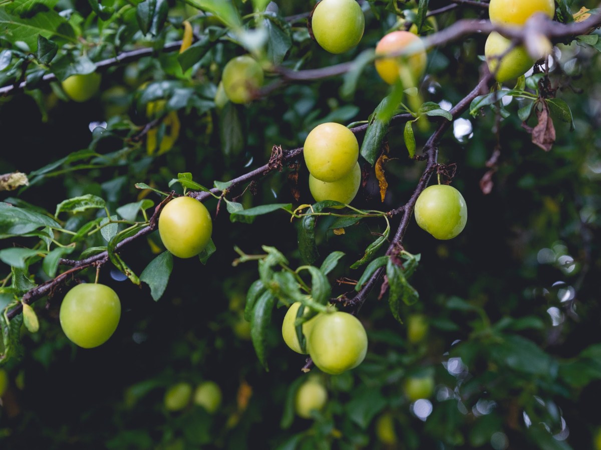 Who Is On Your Team?