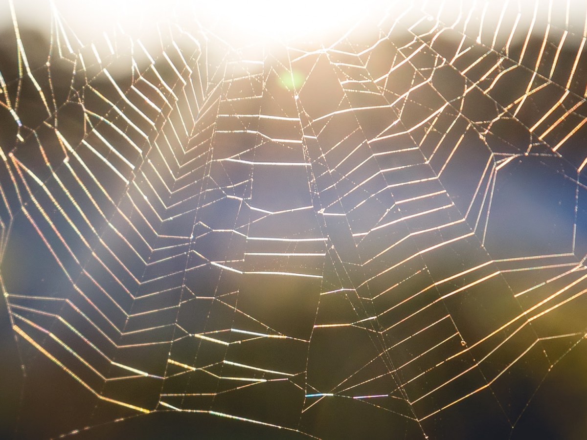 Things I Learnt In My First Year of Blogging