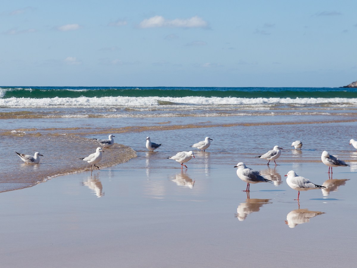 The Lightkeeper’s List – Volume 1