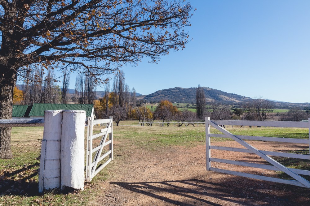 [Image Description: Australian country farm, open white timber gate with large tree overhanging with late autumn leaves, blue sky, paddocks and mountain in distance.]