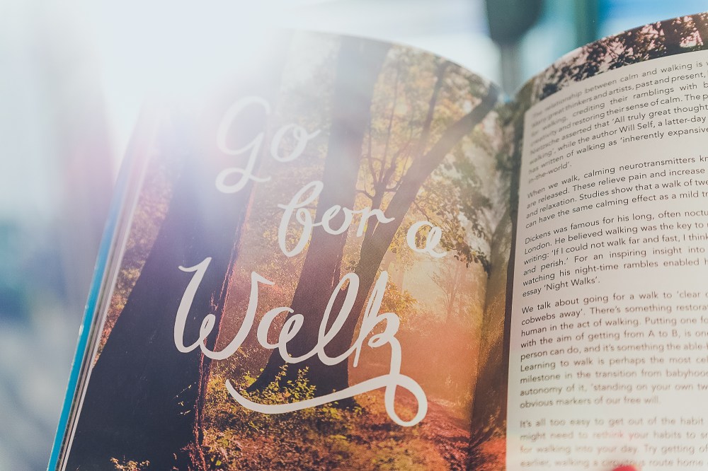 [Image description: Calm book open to a page with photo of forest and text says 'go for a walk'. White sunlight in the background.]