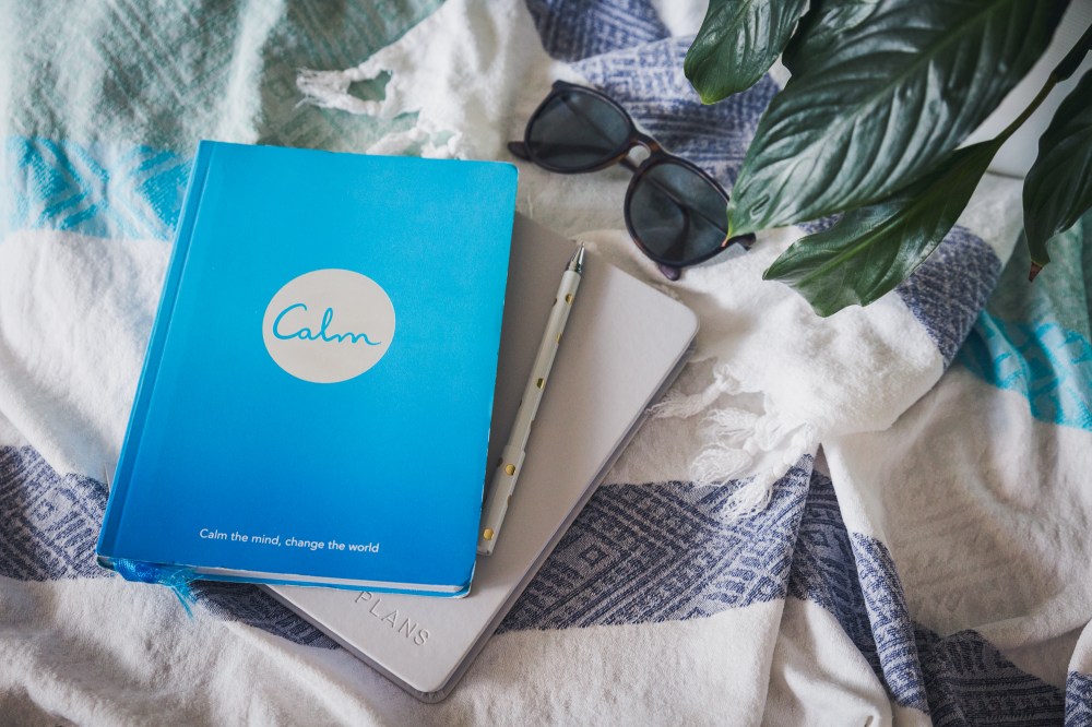 [Image Description: bright blue Calm book on top of light grey journal, on a blue and green stripe towel with sunglasses and leafy plant in the top right corner.]