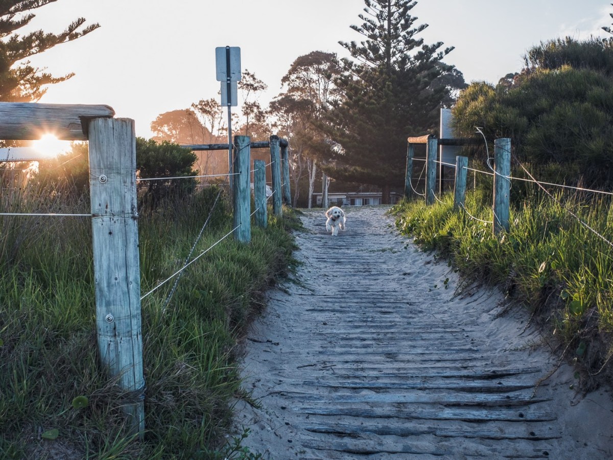 The Lightkeeper’s List – Volume 4