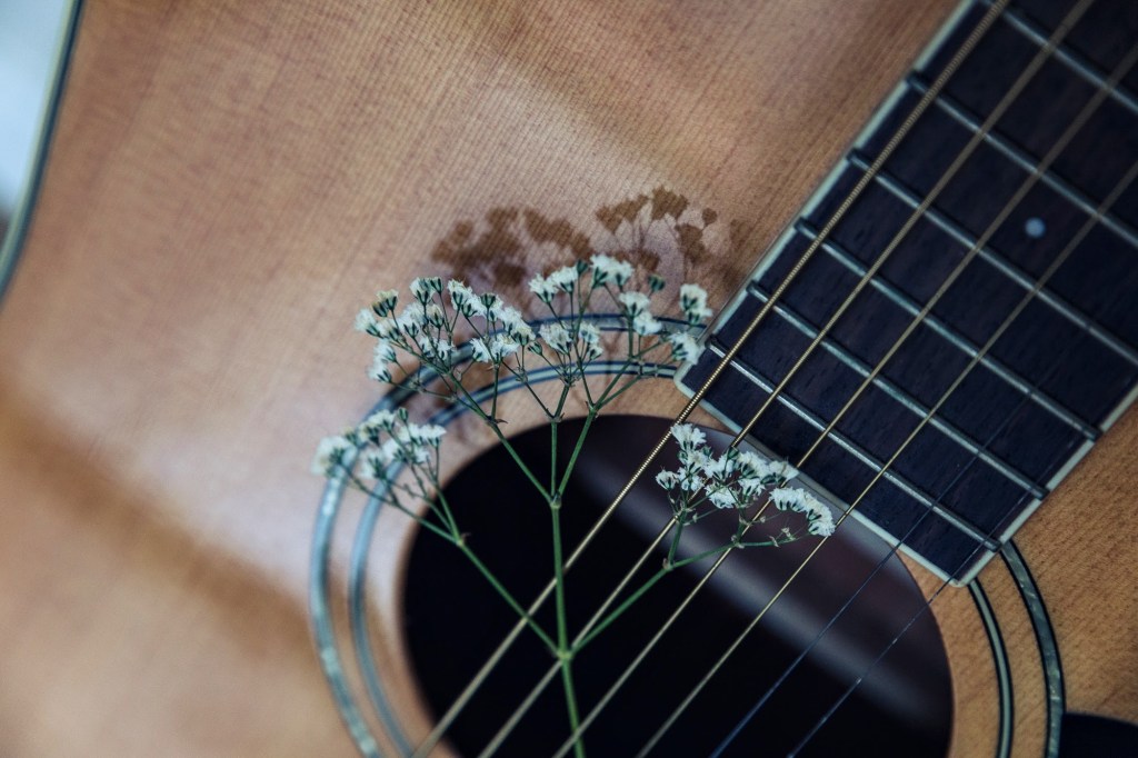[Image Description: close up photograph of an acoustic guitar with pressed baby's breath flowers threaded through the strings.]