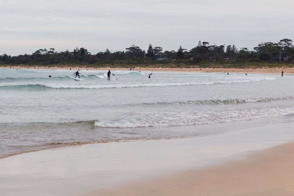 [Image description: Surfers in black wetsuits catching small waves at low tide on a long curved beach, with overcast sky and trees along the horizon.]