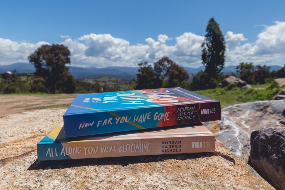 [Image Description: Two colourful books on a sand coloured stone, with grass, bush, clouds and mountains in the background. The spines of the books read ‘All Along You Were Blooming’ and ‘How Far You Have Come’ by Morgan Harper Nichols.]