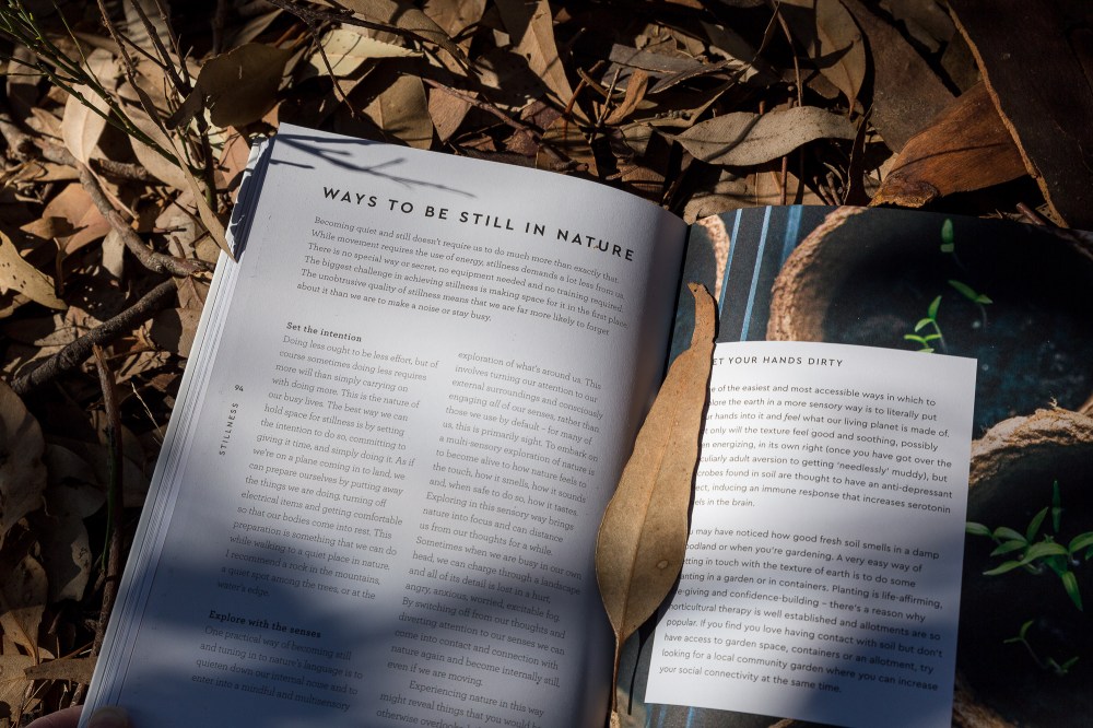 [Image Description: A book open to a page with text with the heading 'Ways to be still in nature'. There is a large dried eucalyptus leaf placed as a bookmark. The book is on bush litter, and is in part light and shade. The book is Grounded by Ruth Allen.]