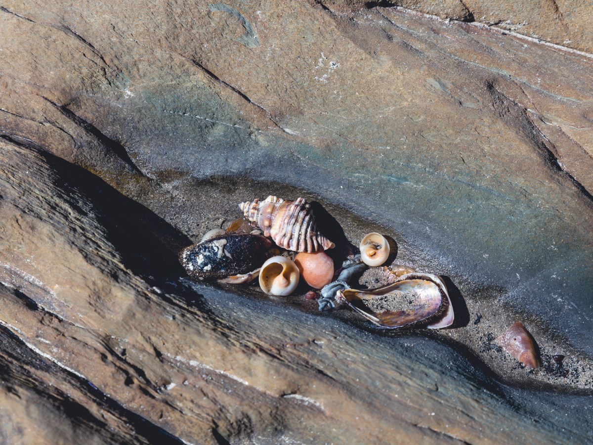 Musings & Meditations – May 15 2022