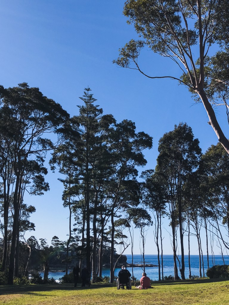 [Image description: Two people side by side, one person is in a wheelchair and one person sitting on the grass. Both people have their backs to the camera and looking at the tall trees, beach and ocean in the distance.]