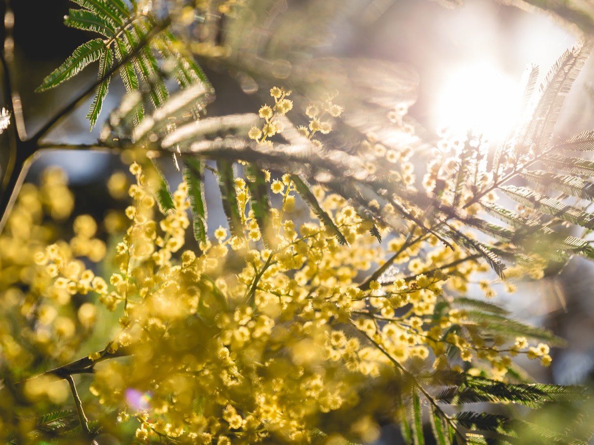 Musings & Meditations – December 1 2022