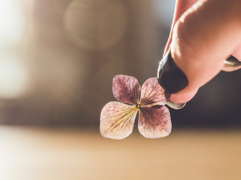 Musings & Meditations – February 2 2023