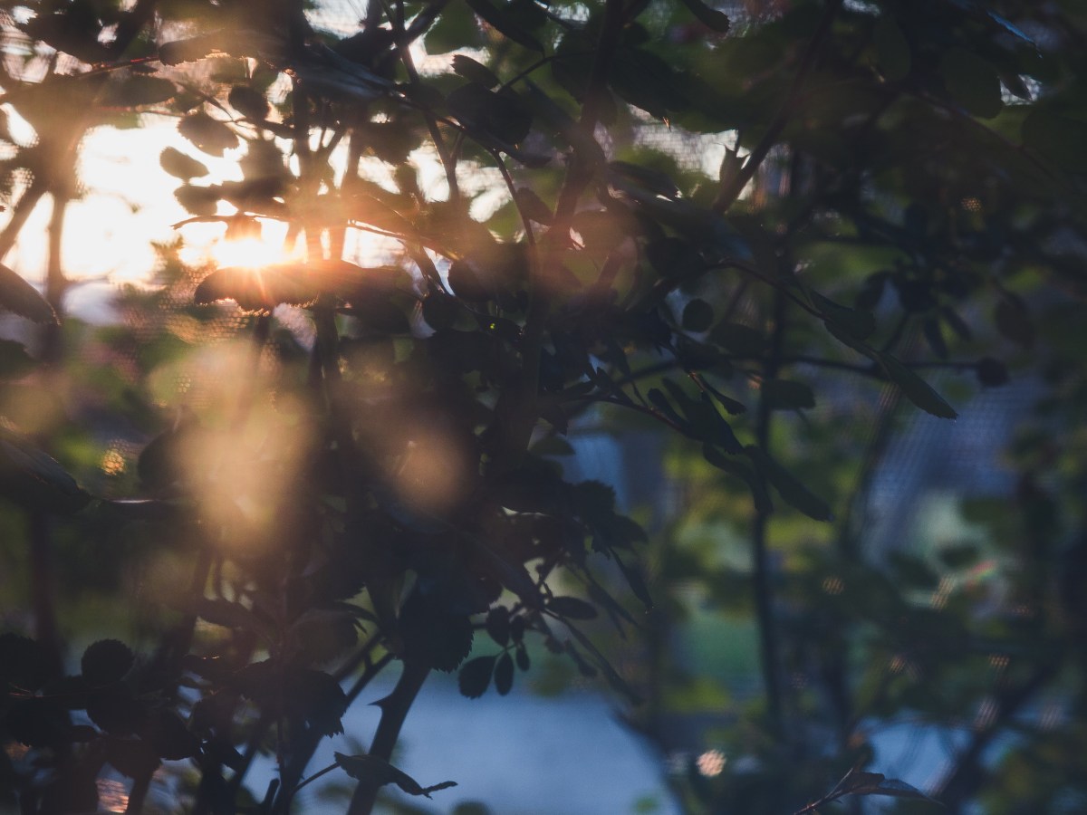 The Time I Lose To Managing Chronic Conditions