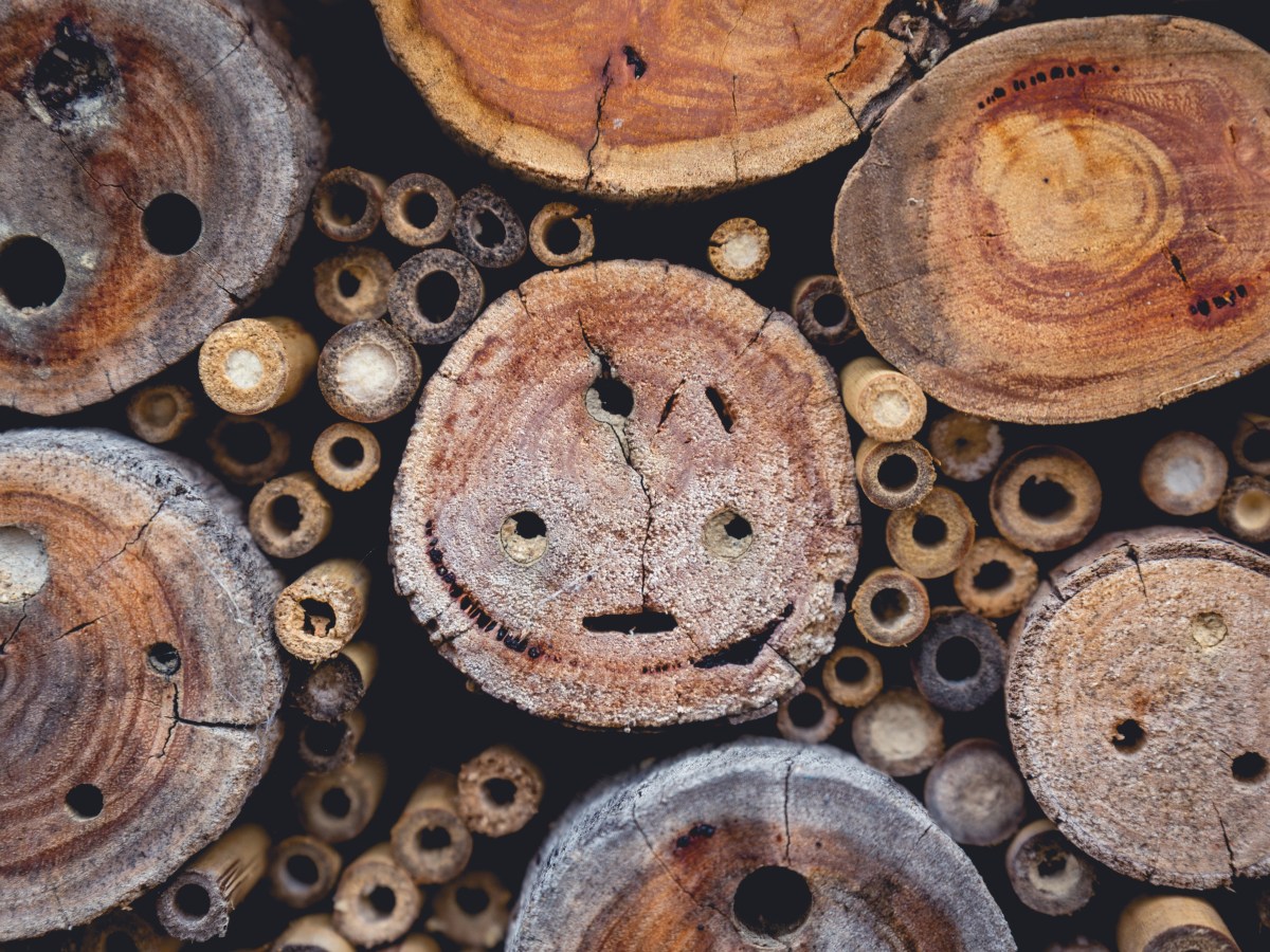 Musings on Life, Blogging and Choices