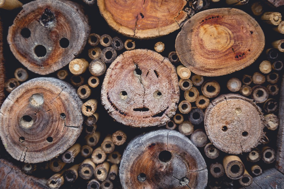 [Image Description: logs and hollow wooden sticks, stacked together to make an insect home.]